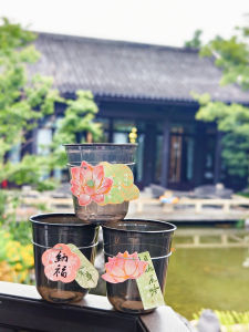 Băng Rôn Đàn Hồi Cho Cà Phê Nướng Trung Quốc Xuân Mới Trà Sữa Đồ Uống Logo Túi Đựng Cốc Bằng Silicon Phong Cách Hàn Quốc