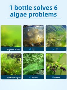 VOA | Algae Remover for Fish Ponds
