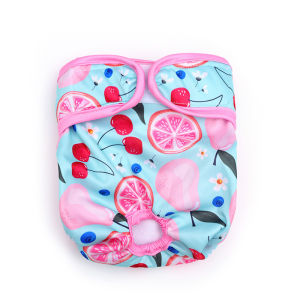 Hadassah | Anti-mating and Absorbent Pet Diapers