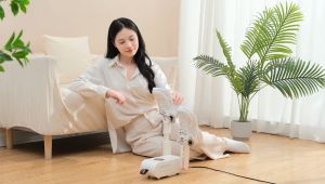 Deodorizing and Sterilizing Shoe Dryer Home Shoe Dryer Shoe Warmer