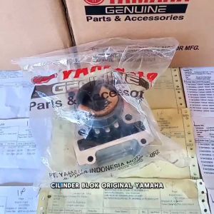 cilinder blok seher boring xeon rc 1LB-E1311-00 original YAMAHA