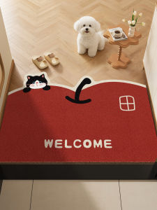Anti-slip and Stain-resistant Doormat