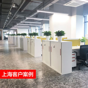 Modern Minimalist Office File Cabinet Low Iron Storage Cabinet Sliding Door Desk Side Cabinet Shanghai Youbai Steel Storage Cabinet
