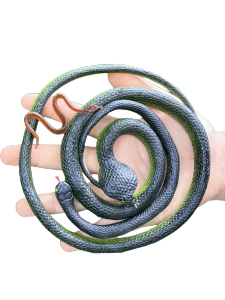 Đồ Chơi Rắn Giả Bằng Cao Su Mềm Đồ Chơi Mô Phỏng Động Vật Cho Trẻ Em Đồ Chơi Giả Vờ Để Trêu Chọc Người Nhỏ Rắn Rắn Mắt Giả Vờ Rắn Giả Vờ