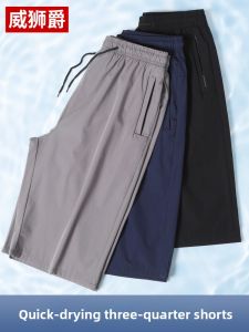 WEISHIJUE | Summer Lightweight Ice Silk Quick-Dry Shorts for Seniors