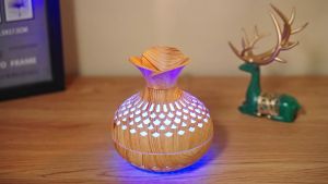 Flower Diffuser เครื่องทำความชื้นรูปทรงดอกไม้ เครื่องพ่นไอน้ำแบบตั้งโต๊ะ พร้อมไฟหลากสี USB ความจุ 300 ml. ราคา 2199 บาท (รหัสส่วน: NA89)