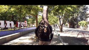 Zorc Official - Max Red | Gigbag | Tas Gitar Akustik Jumbo All Size