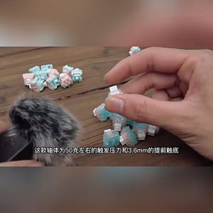 Combo Switch Kailh Box - Switch 5 Pin Bàn Phím Cơ Box MarshMallow Box Autumn Box Summer Âm Gõ Hifi