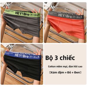 MiiOW | Quần đùi nam cỡ lớn MiiOW Pure Cotton 2024 Quần đùi nam cạp vừa thoáng khí đàn hồi Quần đùi nam mùa hè