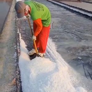 Garam Garem Ikan 500gr Kristal Grade A Premium Mencegah Penyakit Ikan Kolam Aquarium