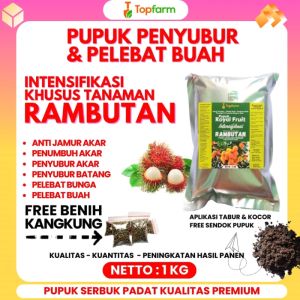 Pupuk Pelebat Buah Rambutan / Pupuk Penyubur Buah Rambutan / Pupuk Booster Buah Rambutan / Pupuk Untuk Buah Rambutan