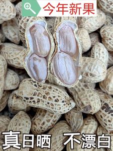 Original Flavor Sun-Dried Salted Peanuts Wuxiang Brand Heshan Origin Snacks/Nuts/Specialties Guangdong Province 500g Bag