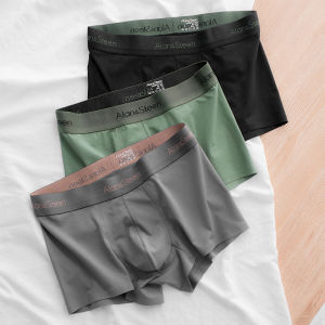 Comfortable Breathable Modal Mens Underwear Briefs Short Pants Spring Youth Four Corners Angle Pants Hip Hop Cap Accessories
