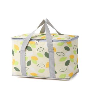 EPH Aluminum Foil-Backed Plaid Insulated Bag for Travel and Picnics B00