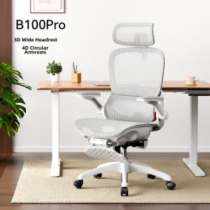 Musso | Ergonomic Chair for Comfortable Sitting