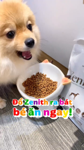 Thức ăn hạt mềm Zenith Original cho chó mèo [300g - 500g - 1.2kg - 3kg]