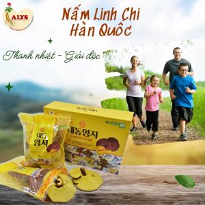 Nấm Linh Chi Daedong Hàn Quốc ( Hộp 1000 gram )