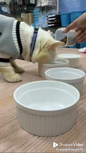 CERAMIC PET BOWL / BIRD SEEDS BOWL / KITTEN BOWL / CAT & DOG FOOD BOWL / WATER BOWL / INSECT BOWL