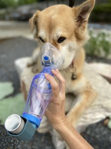 กระบอกพ่นยาสัตว์เลี้ยงPet Spacer size M