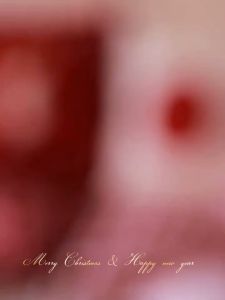 【Free Shipping】4Pcs Christmas Throw Pillow Case Cushion Cover Sofa Cover 18x18inches For Home Decor Square Bolster With Zipper