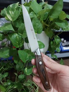 Dao gọt hoa quả dao gọt trái cây Đức cán gỗ sồi