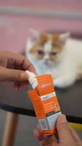 PUAINTA Tetes Mata untuk Kucing dan Anjing Konjungtivitis Keratitis Mata Kemerahan dan Nanah di Mata 8ml/botol