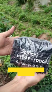 RUDRAKSHA HITAM ISI 200++ & 1000±± BUTIR SUDAH DI LUBANGI JENITRI HITAM MANIK HITAM