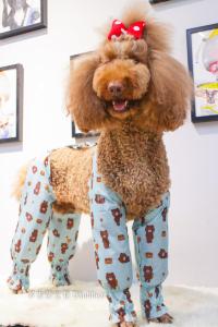 Outdoor Pet Dog Raincoat Guide Bear Dog Clothes Waterproof Sleeve Covers Joint Protector Anti-urine Leg Covers for Dogs