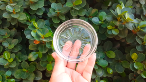 3.25inch/8.4cm Stellar Round Glass Coaster/Lid/Saucer