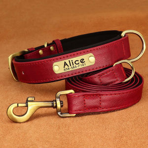 JINLINGJIE | Custom Engraving Dog Neck Collar