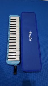 Kessler Melodihorn 37 keys in blue green pink with accessories