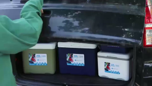 Cooler Box Portable Box 12/20/30L Picnic Keep Fresh Refrigerator Camping Cooler Box Ice Box Keep warm for 4-6H