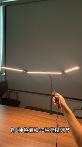 10 Dimmable Levels LED Desk Lamp with Remote Sensor Flexible Gooseneck Double Head Desk Light