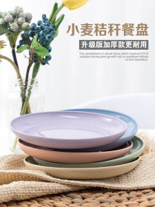 Food Grade Plastic Bone Disc High End Home Use Small Dish for Table Utensils Deep And Shallow Bowl for Rubbish And Snacks