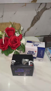 Aki Motor Yamaha NMax N Max N-Max GTZ7S GSJ Accu Kering MF