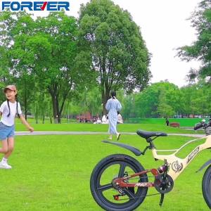 Kids Bicycle For Boys Girls Kids Bicycle Balance Bike Magnesium Alloy Medium and Large Boys 8-10-14 Years Old 18/20-Inch Primary School Students Mountain Bike