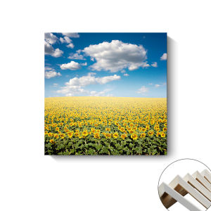 Modern Sunflower Living Room Decor Square Frameless Artwork