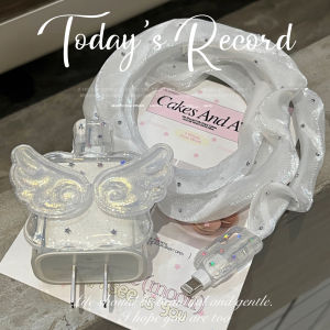 iPhone 16 pro Max Data Cable Protection Cover Compatible with 20W Fast Charging Head Apple 15/14 Charger Case iPhone 17 Winding Rope iPad Anti-Breaking Female 12 Wings