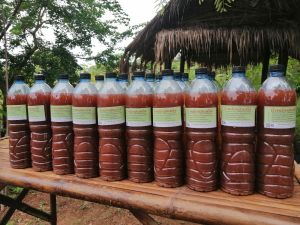 น้ำหมักจุลินทรีย์​ 1.5​ ลิตร/ขวด​ ผสมน้ำได้​ 30​ ลิตร