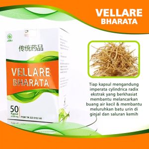 Obat Batu Ginjal Batu Empedu Kencing Batu Ampuh - Vellare Bharata BPOM Garansi 100% Original