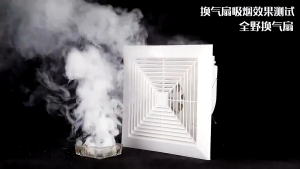 Exhaust Fan Ceiling 8/10/12 Inch Large Suction Kitchen Strong Wind Household Silent Bathroom Duct Ventilation Fan