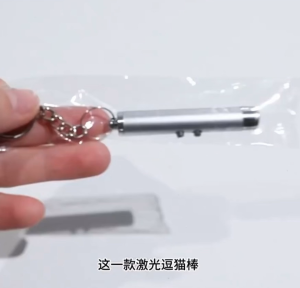 Interactive Pet Laser Pointer 2 in 1 with LED Mini Torch Fun Playtime Tool