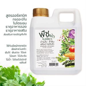 INSAY ORGANIC ปุ๋ยน้ำพืชผักใบเขียว บำรุงใบและลำต้น ส่งสริมการเจริญเติบโต ใช้กับพืช
