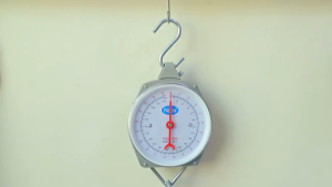 Hanging Hook Heavy Duty Weighing Scales Portable household spring hanging 25Kg，100kg，200kg