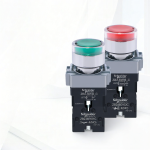 Schneider Electric | Light Indicating Button Switch 24V
