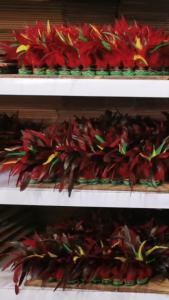 OXO Nhà Sản Xuất Bán Buôn Đá Cầu Đá Cầu Lông Gà Đá Cầu Thi Đấu HỌC SINH Bóng Bàn Phím Thể Dục Người Lớn Đồ Thể Thao Đá Cầu Đá Cầu Hoa Lớn Đá Cầu