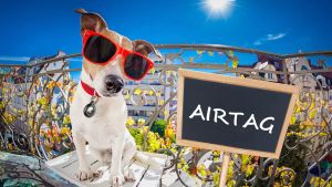 Waterproof Protective Cases with Keychain for Smart Tag - 3 Colors: Black & Clear & Pink