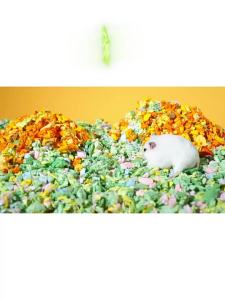 Tafit | Đệm Thú Cưng Hamster Khử Mùi & Thấm Hút Dùng cho Mùa Đông