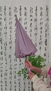 Windproof Auto Long Handle Umbrella