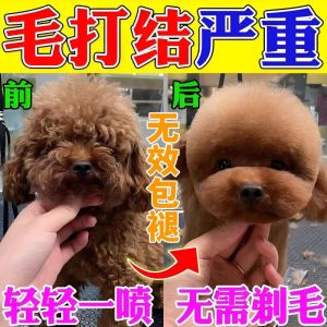 Pet Hair Detangling Spray Dog Grooming Smoothness Static Free No Rinse Cleaning for Cats Oh Bear Brand 100ml Hair Care